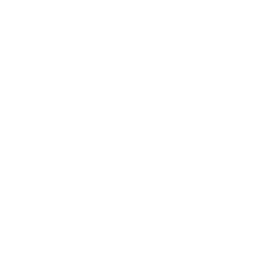 15 DIAS